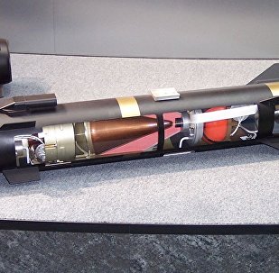 误入古巴"海尔法"激光制导导弹被运回美国