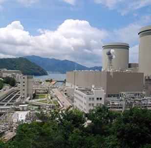 日本关西电力公司:福井县高滨核电站4号反应堆成功重启