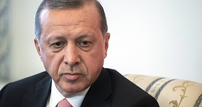 土耳其总统简历图片