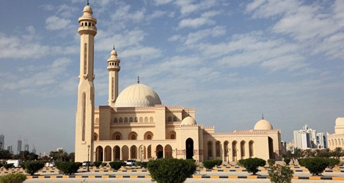 媒体:阿联酋呼吁西方建立卡塔尔行动监督机制