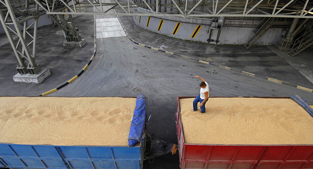 俄罗斯粮食连续丰收促进满洲里口岸进口量井喷式增长