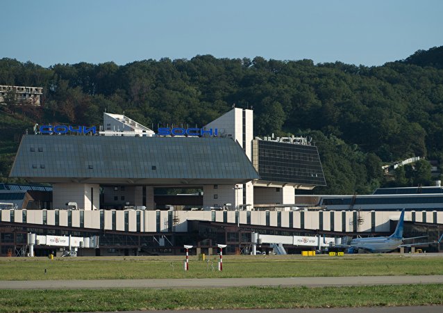 俄索契机场将接纳约700架搭载世界军人冬运会参赛者的航班