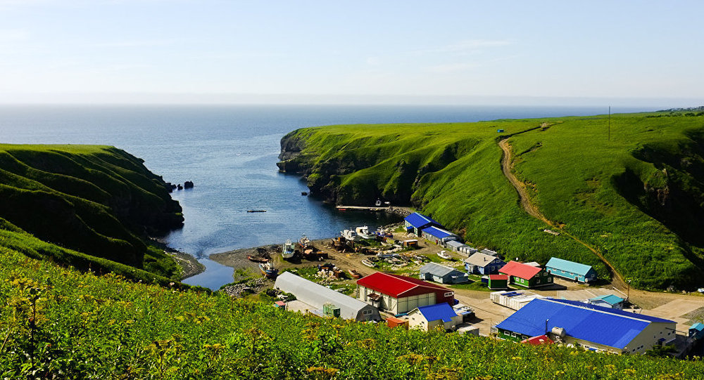 俄商人在南千岛群岛上建立新企业 - 2017年9月4日, 俄罗斯卫星通讯社