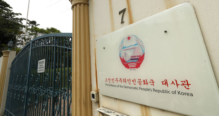 朝鲜驻俄罗斯大使馆图片