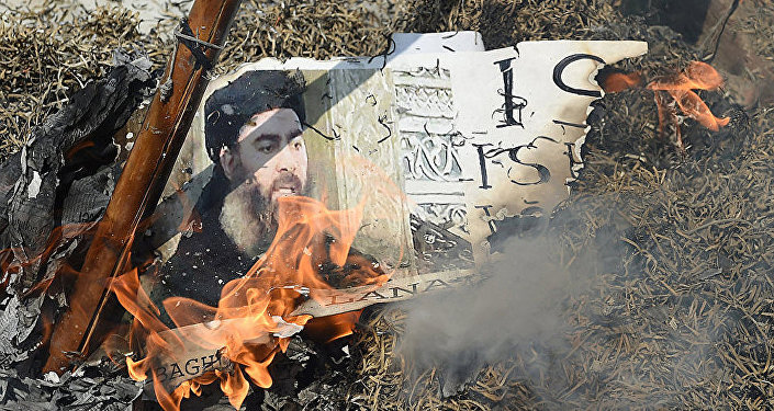 媒体:伊斯兰国头目之一科索沃人穆哈杰里在叙利亚被击毙