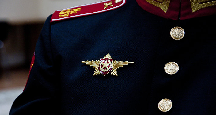 莫斯科每年一度胜利阅兵期间参加者佩戴胸章