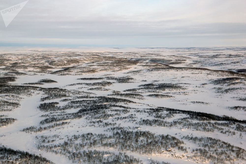摩尔曼斯克州科拉半岛的苔原