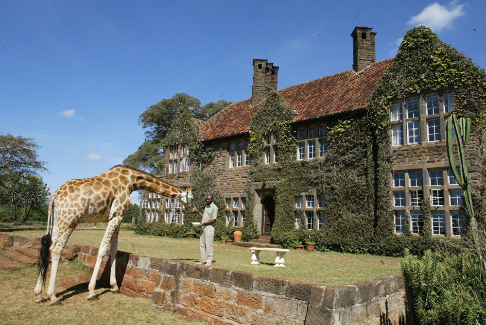 肯尼亚长颈鹿庄园酒店(giraffe manor).