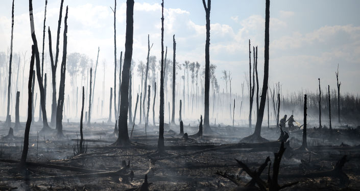 俄罗斯森林消防部门过去一日扑灭15处天然火灾