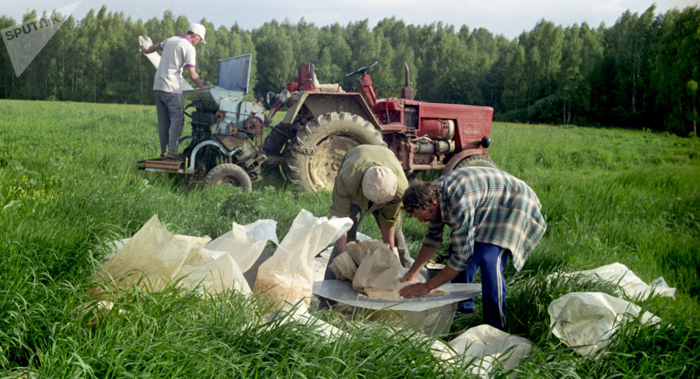 俄农民用农业用地建房将更容易 - 2020年9月15日, 俄罗斯卫星通讯社