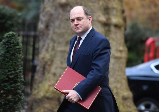 英国国防大臣本·华莱士