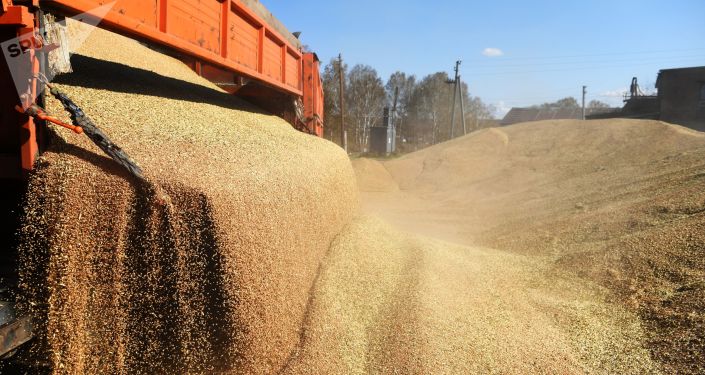 俄罗斯小麦进口_阿尔及利亚小麦进口_中国每年进口小麦多少