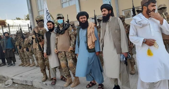 消息人士:塔利班击毙一伙伊斯兰国恐怖分子