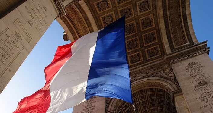 土耳其拒绝法国有关与叙民主力量展开对话的提议