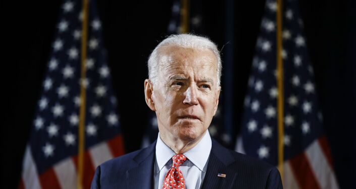 沃伦获民主党人欢迎成拜登竞选拍档